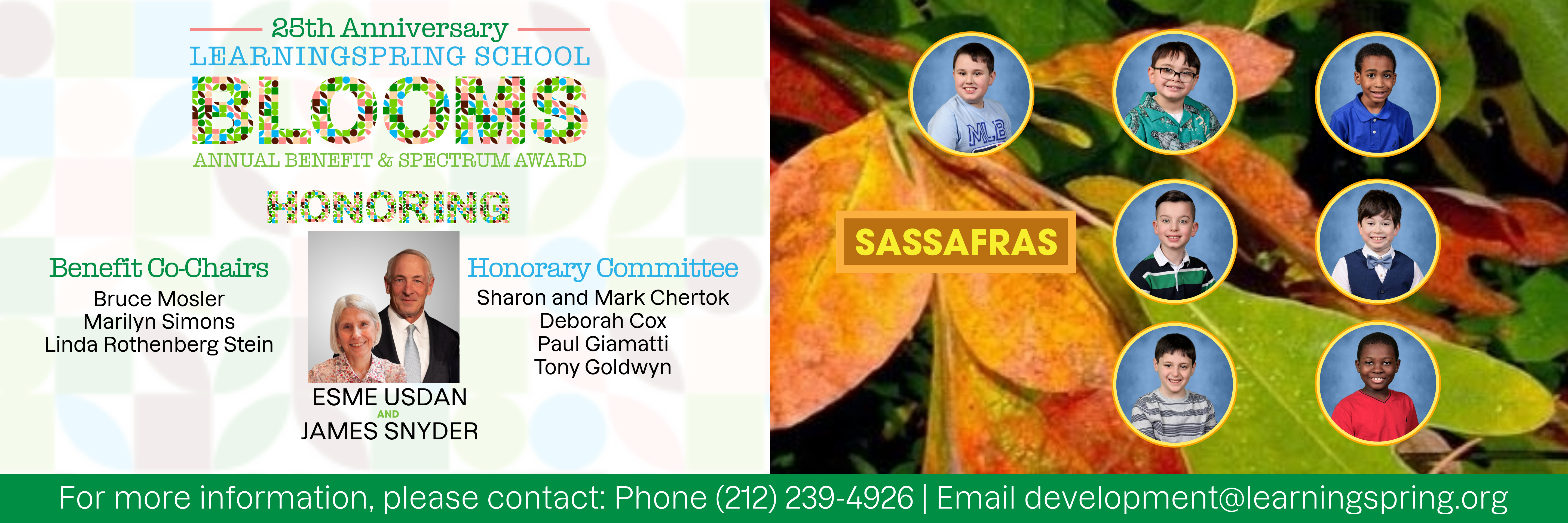 Sassafras